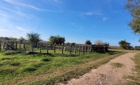 22 ha. en Cnia. San Miguel, Entre Ríos